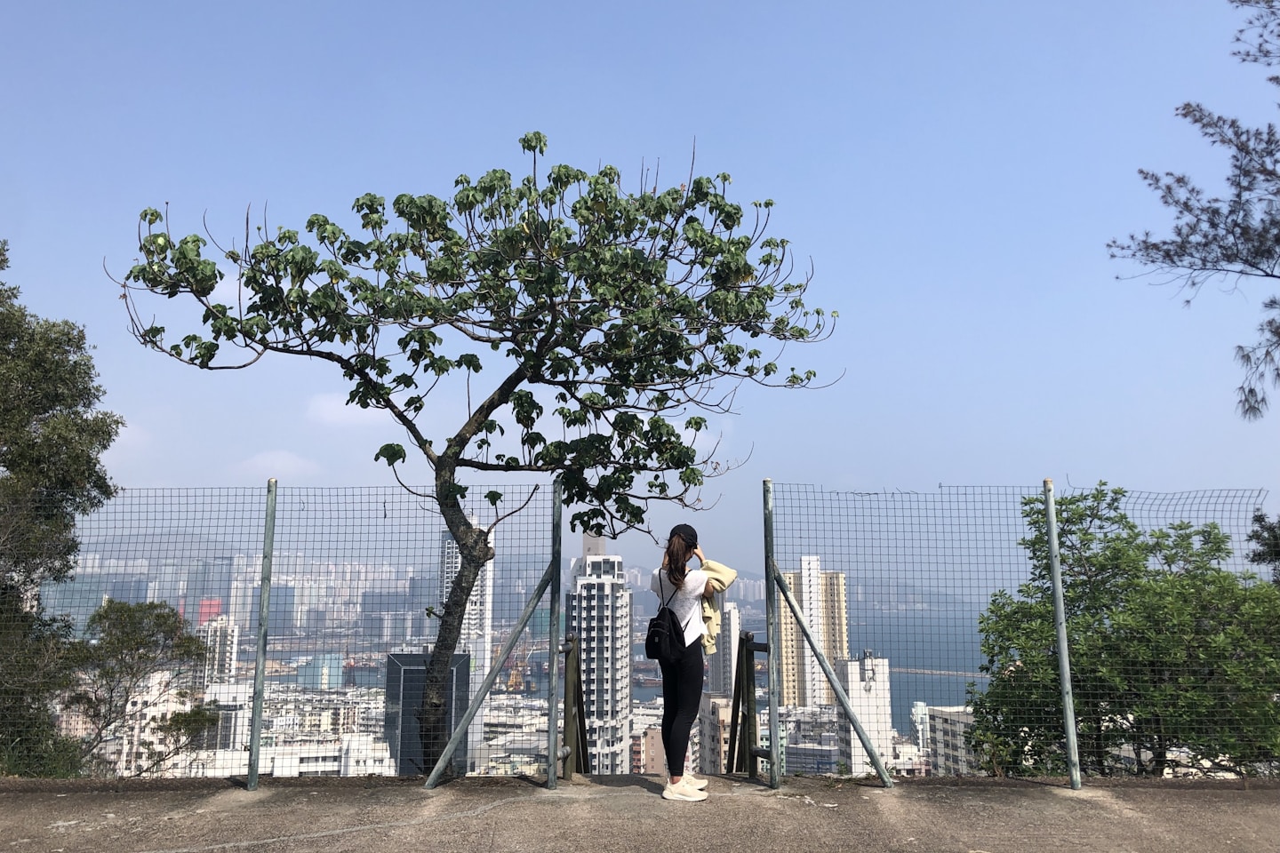 Bright sunny day hike in Hong Kong Kowloon side